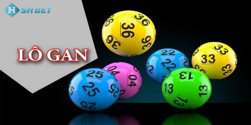 Banner www.thuviengo.vn