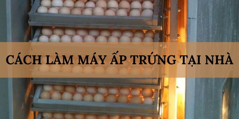 Banner www.thuviengo.vn