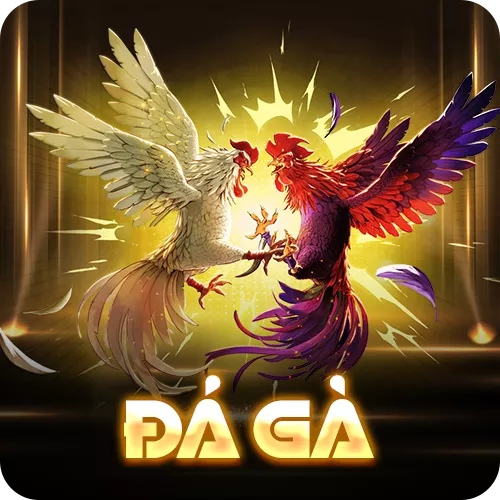 Banner www.thuviengo.vn