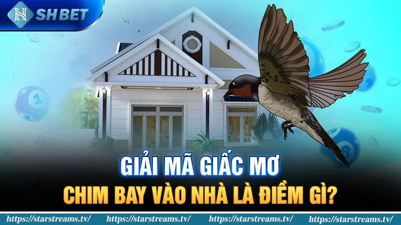 Banner www.thuviengo.vn