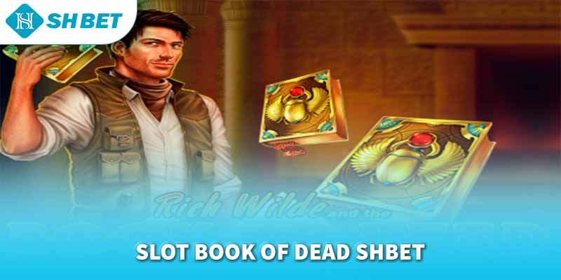 Banner www.thuviengo.vn