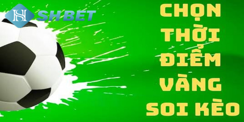 Banner www.thuviengo.vn